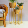 Premium Gold Planter Set of 3