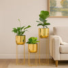 Premium Gold Planter Set of 3